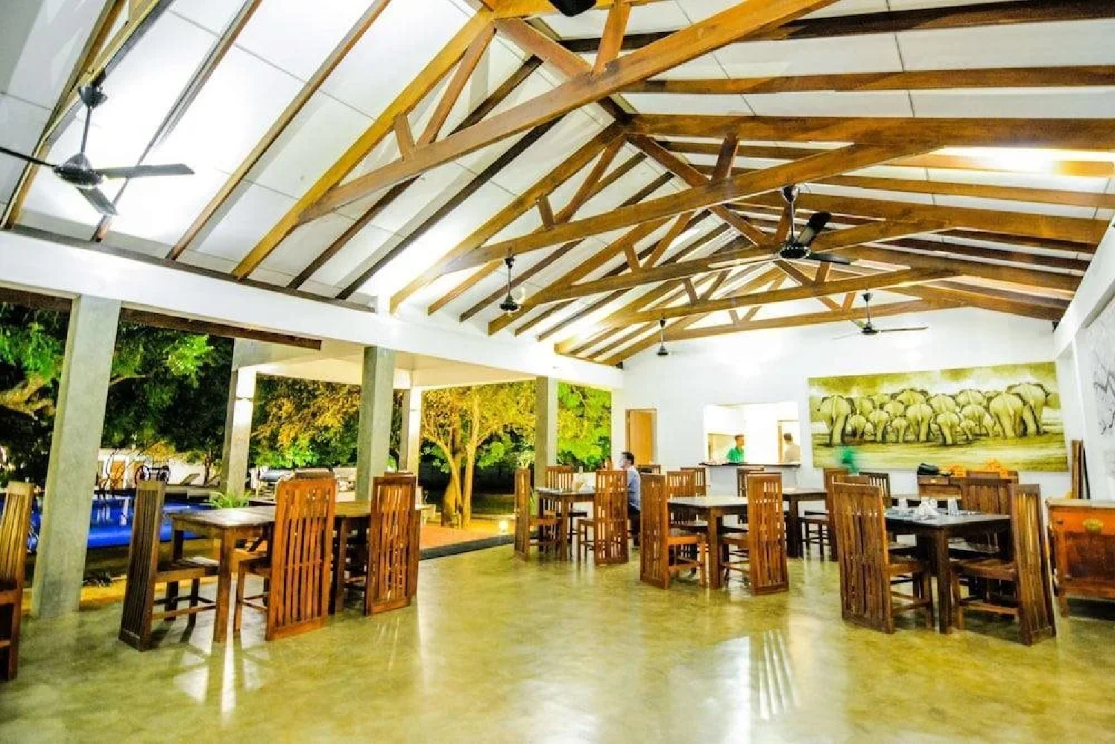 Arana by Forest Trails