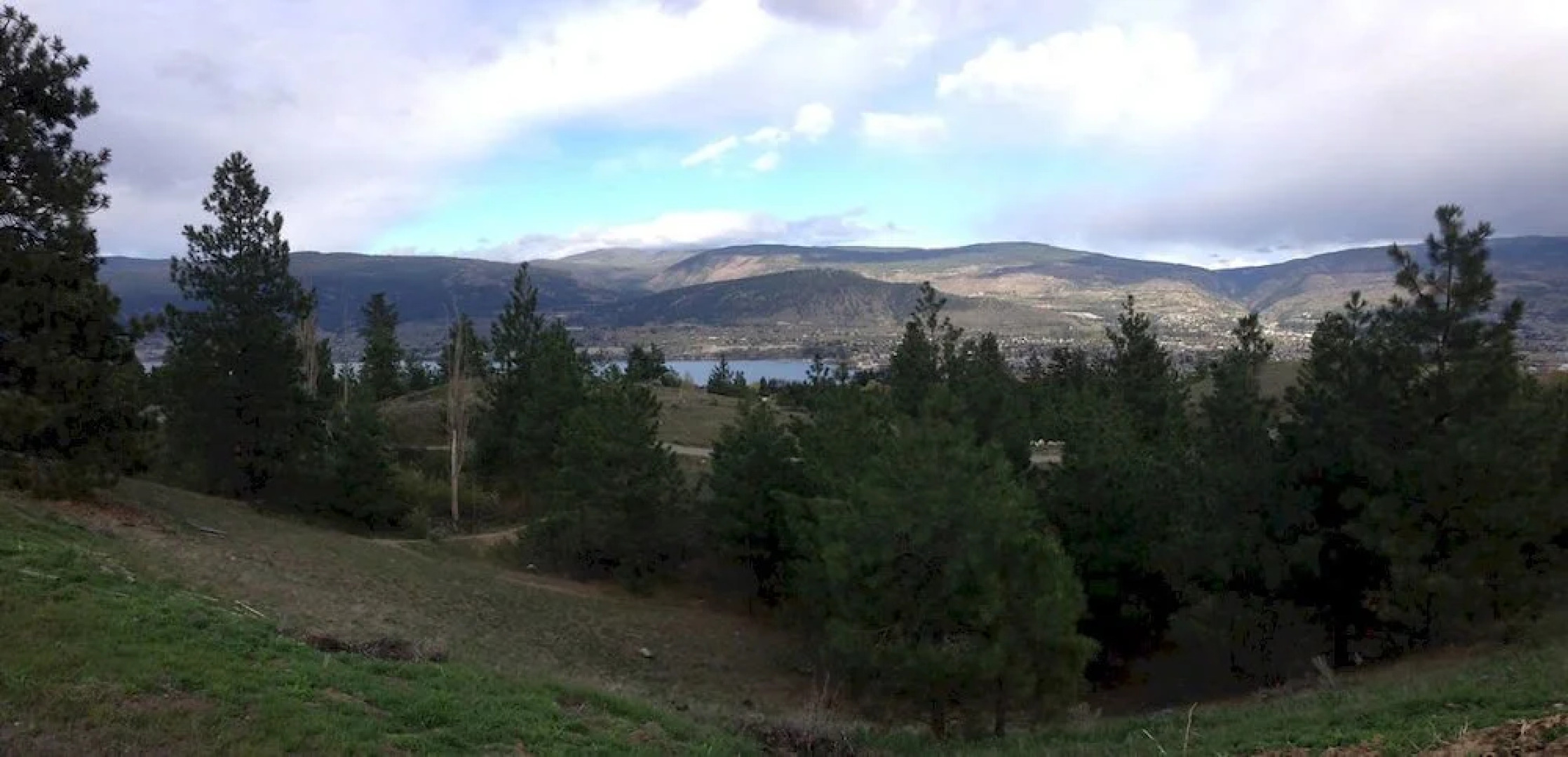 Royal Bed & Breakfast