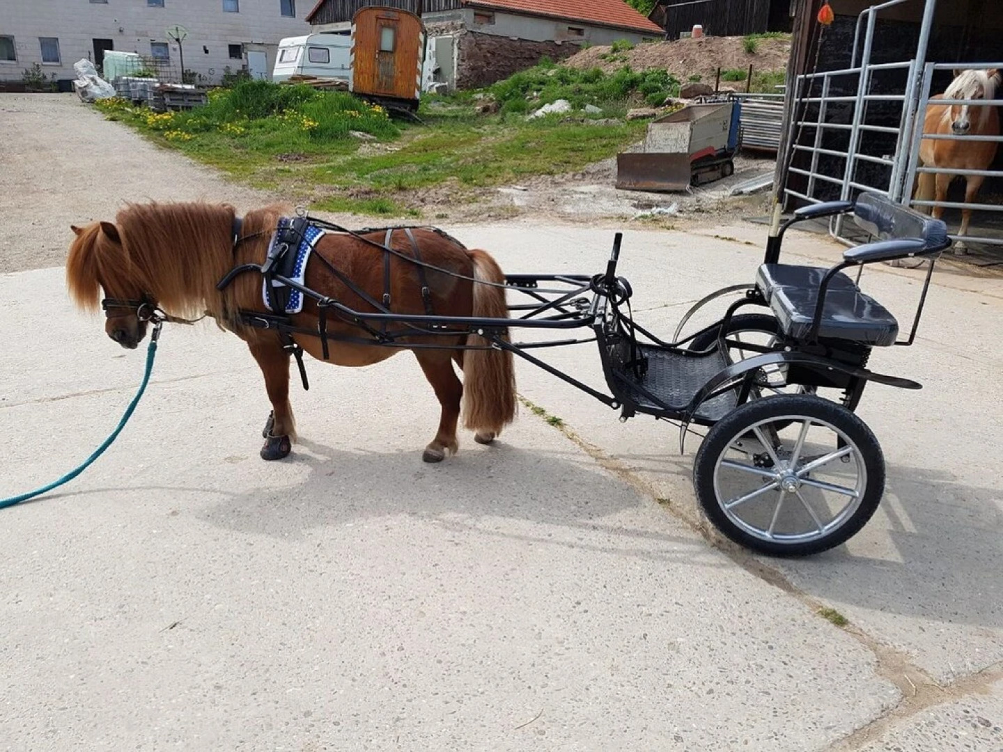 Pferdefreunde Loberhof