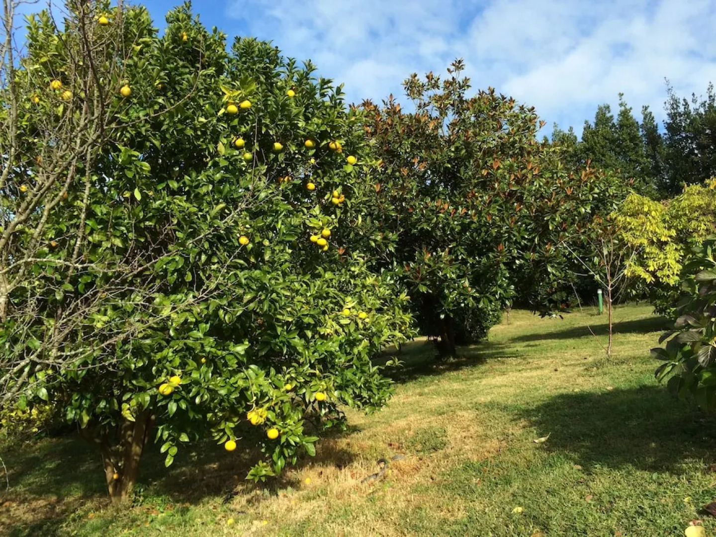 Pazo da Riva - Casa del Guardes