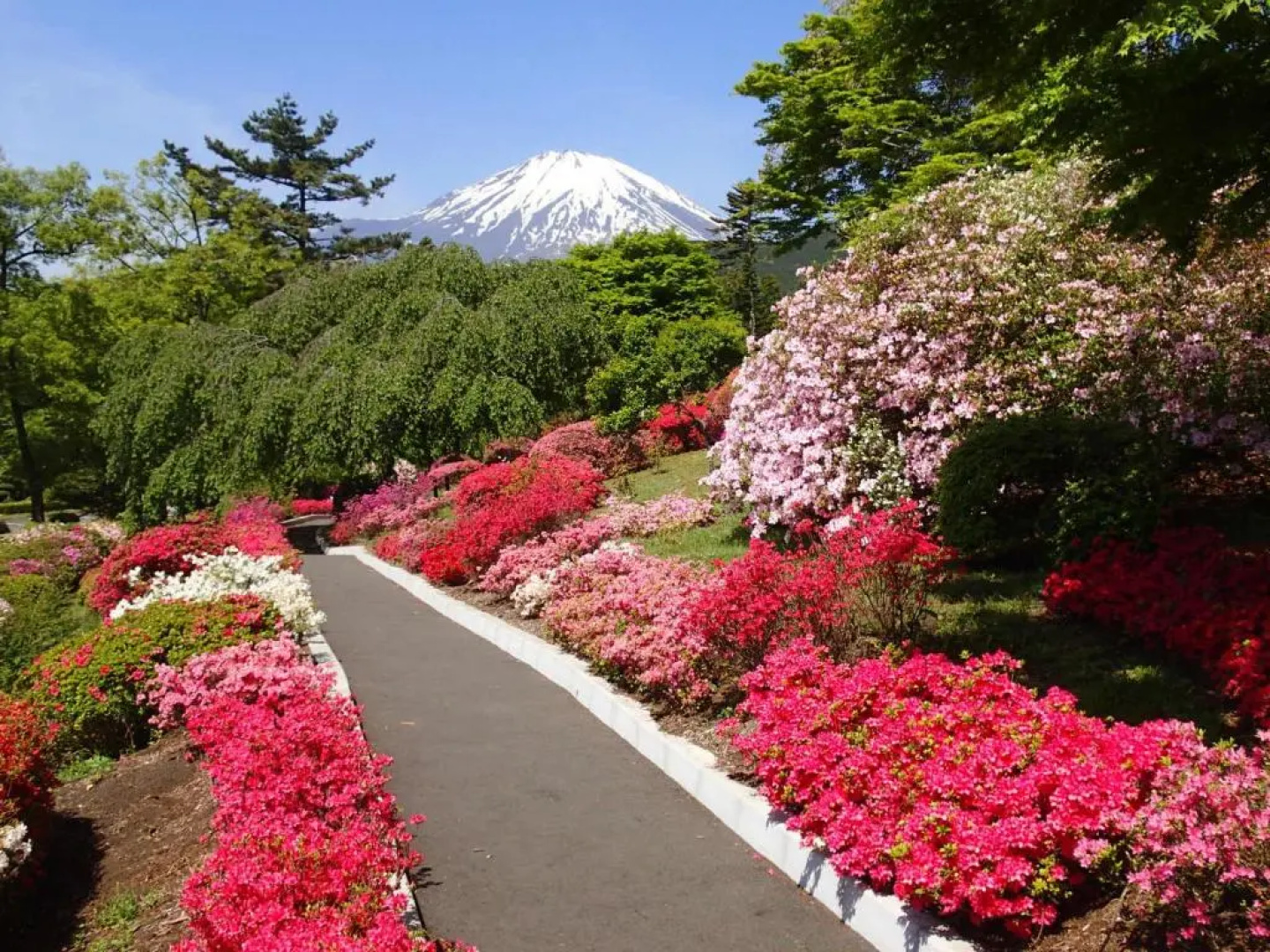 Fuji Speedway Hotel - The Unbound Collection by Hyatt
