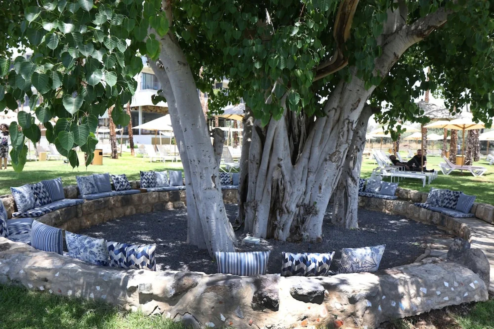 Gomeh by Isrotel Design