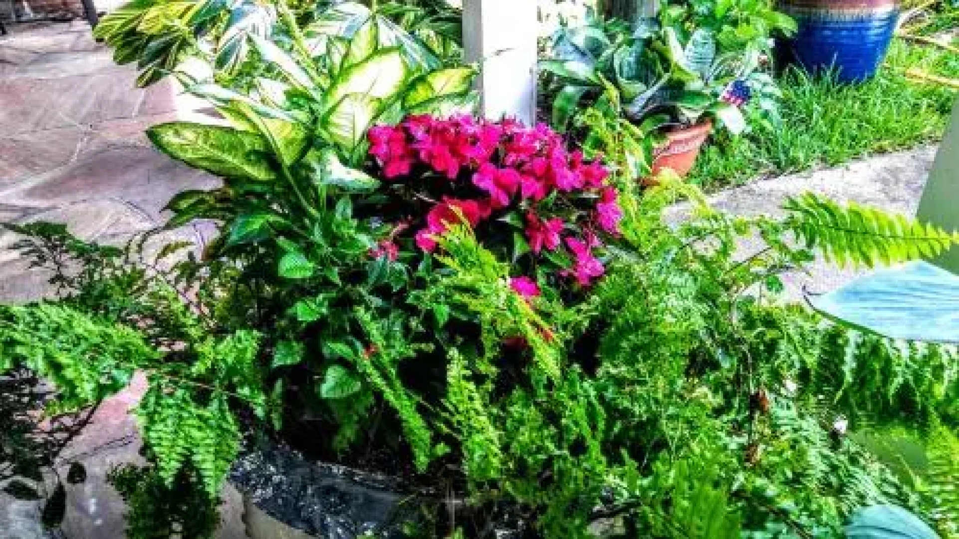 Boca Ciega Bay Apartment