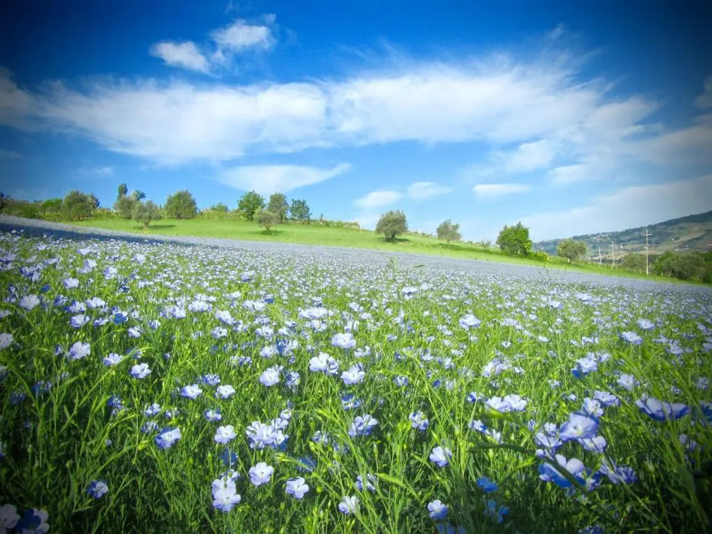 House With 3 Bedrooms in Castelbellino, With Pool Access and Wifi - 30