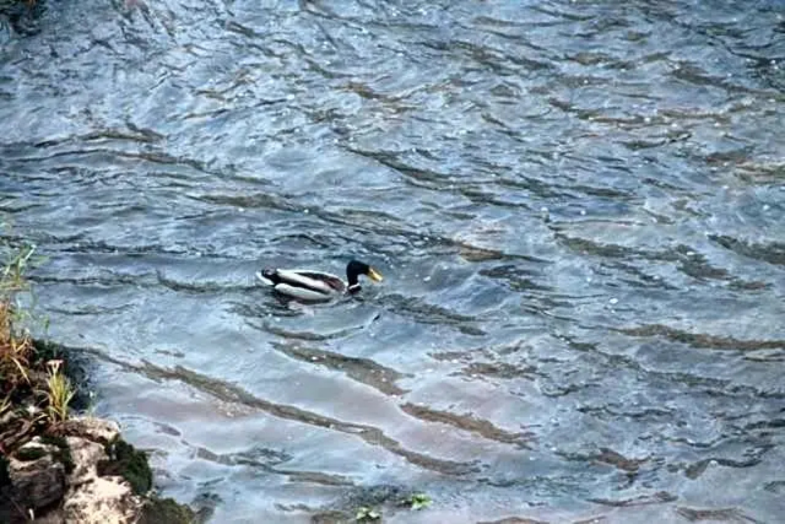 Le Moulin De Benechou
