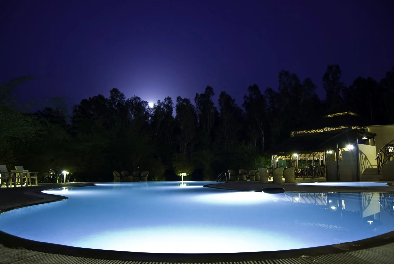 Jim's Jungle Retreat