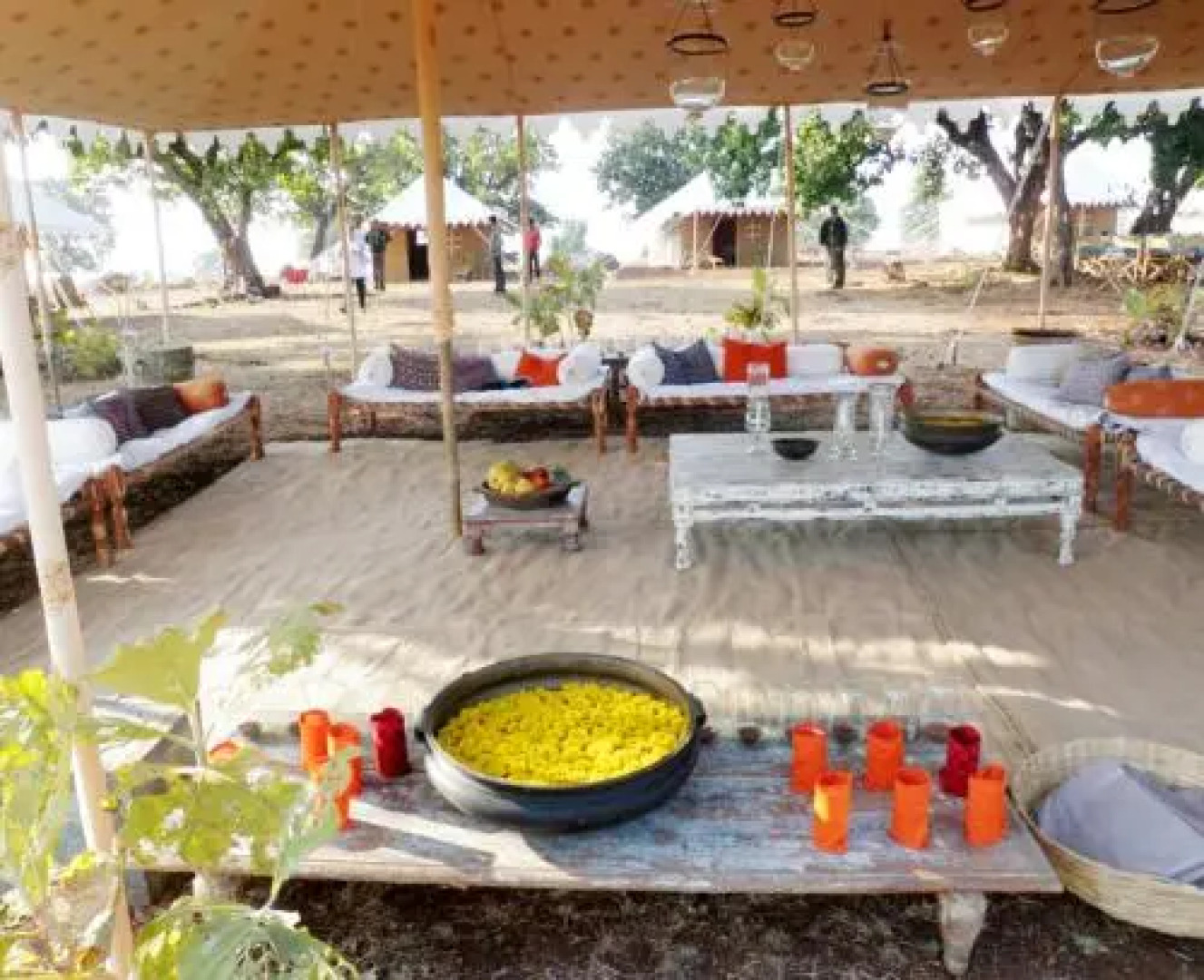 Camp Leopard Heights