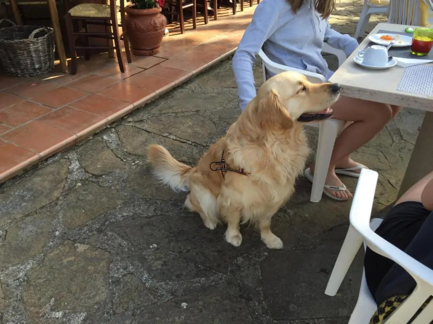 Hotel Campo Di Carlo