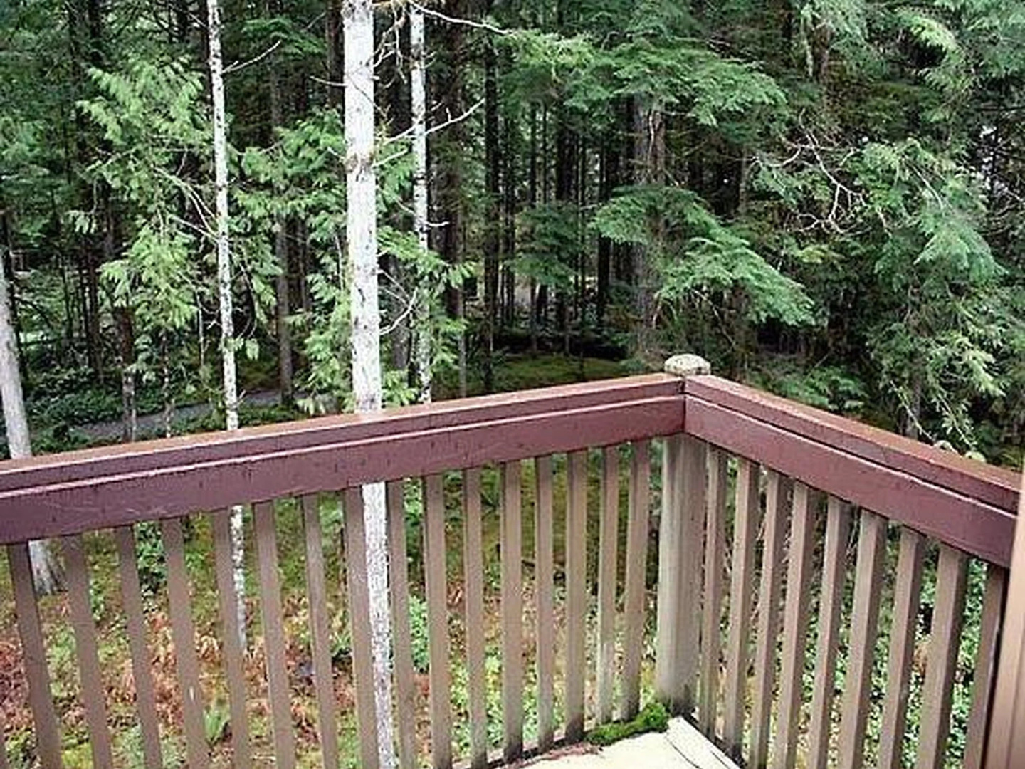 57SW-2 Story Family Condo for 6!