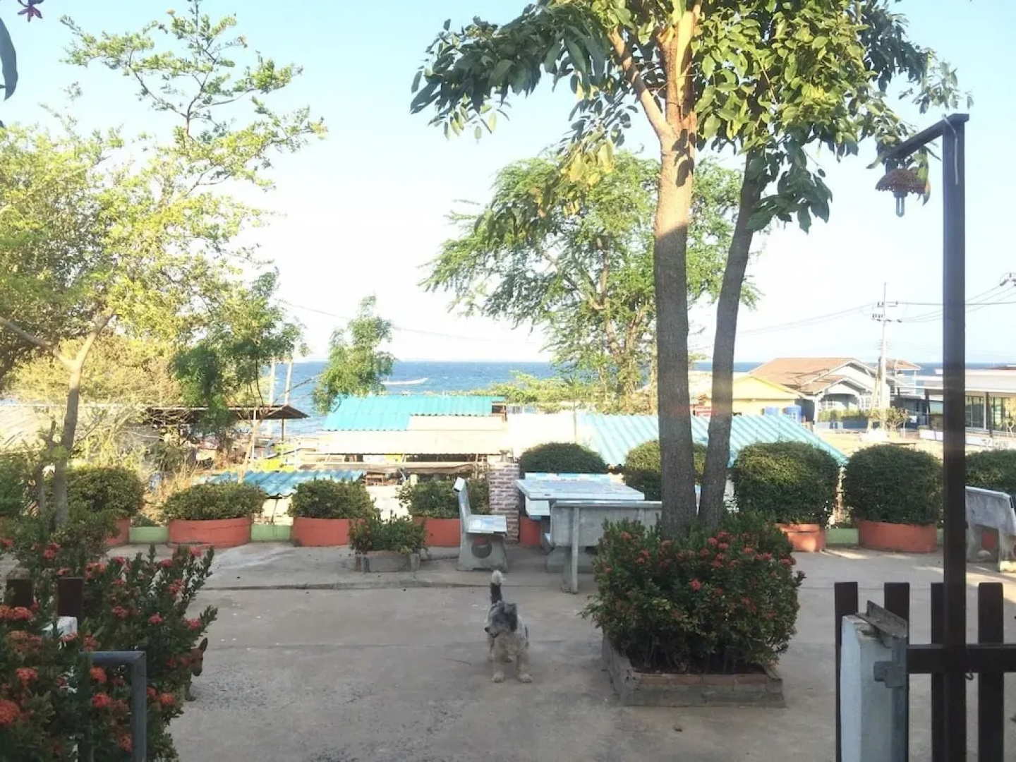 Insook Ko Larn Guesthouse