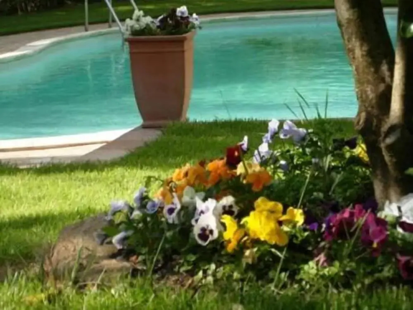 Villa Clementine