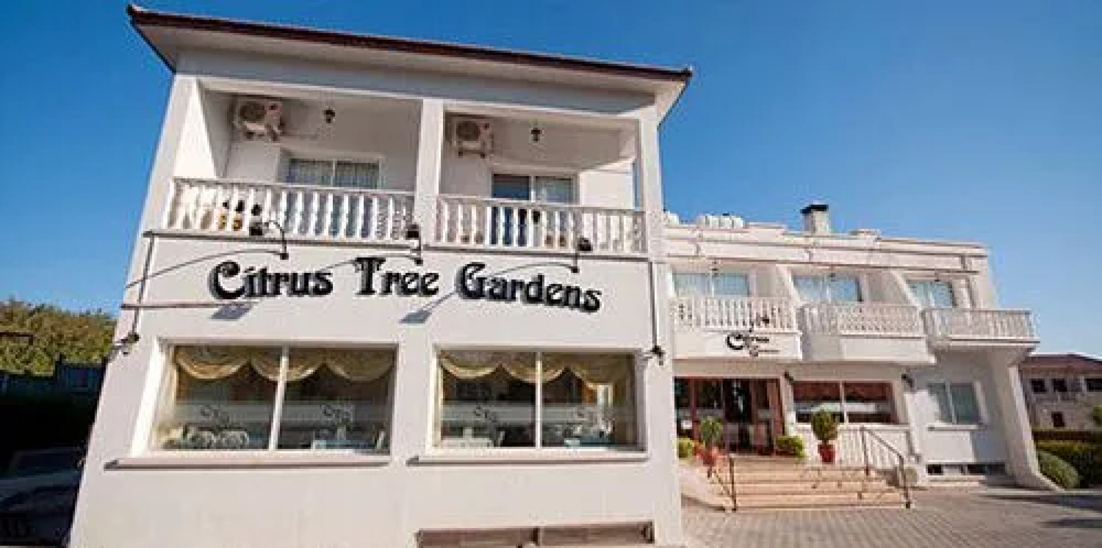 Citrus Tree Gardens