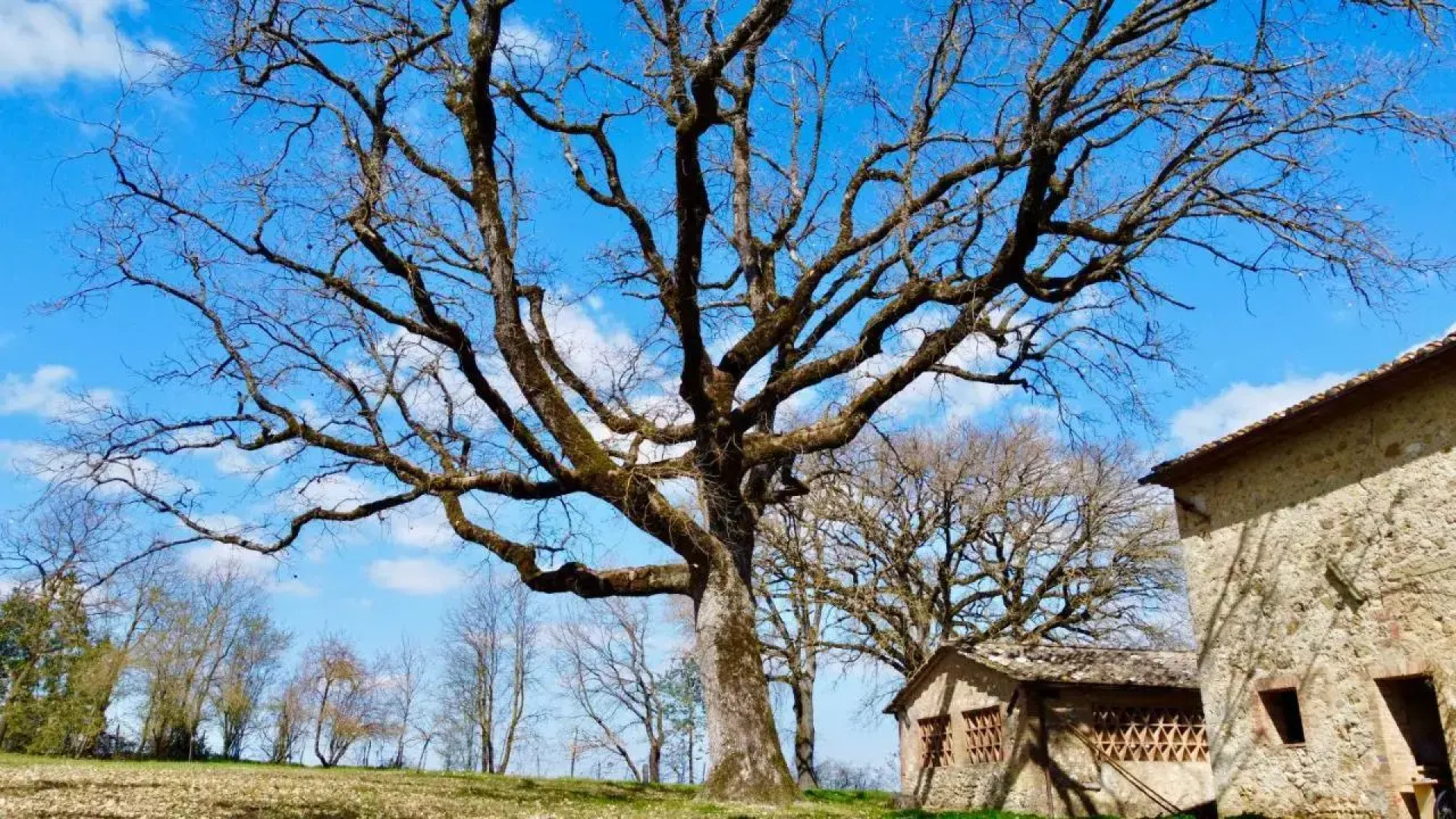 Podere Santa Cecilia