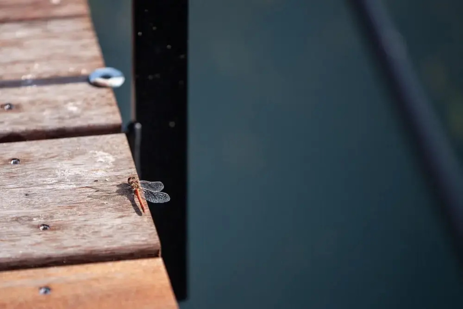 Holiday Home in Name - Namur