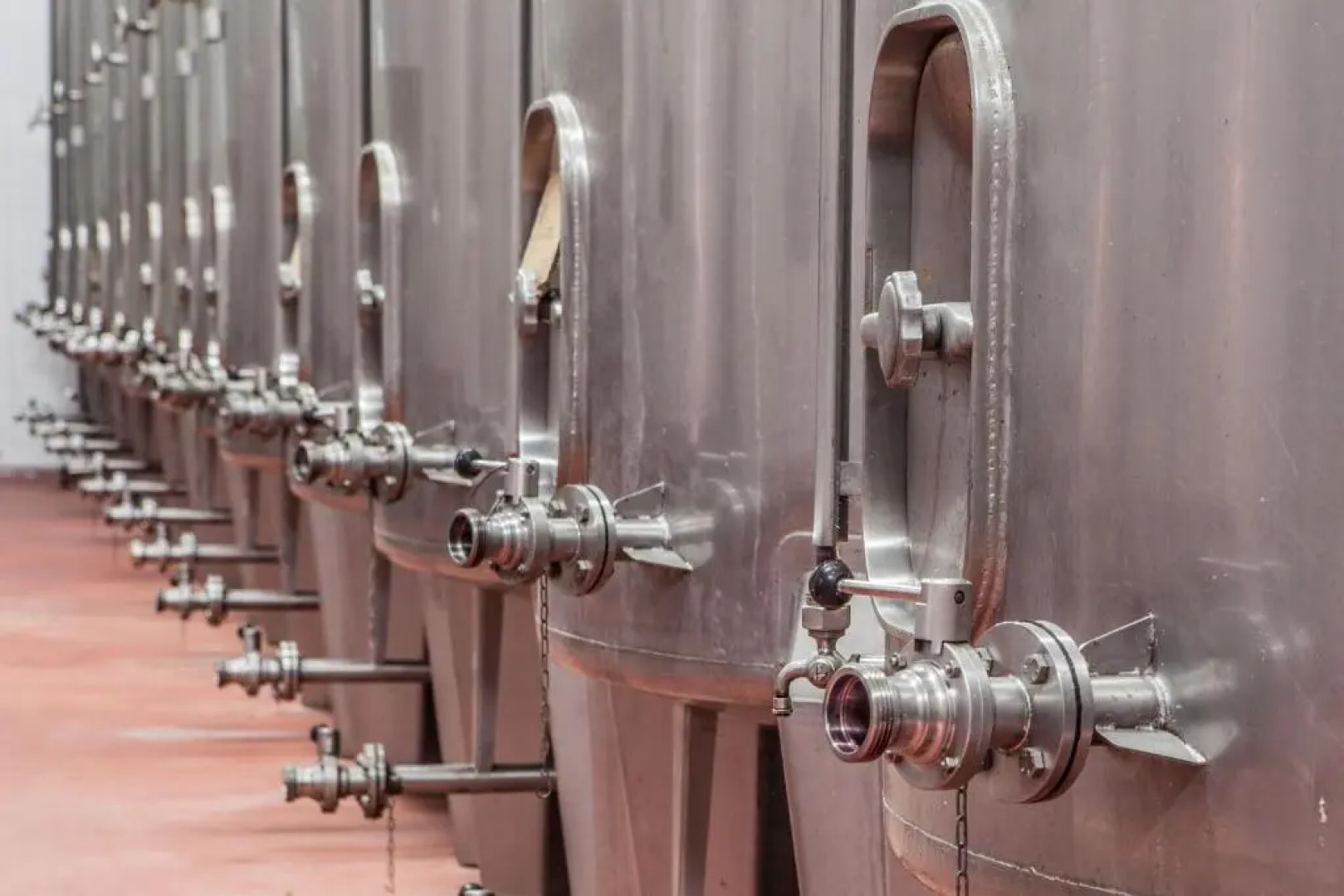 Casa Lata - Wine & Tourism