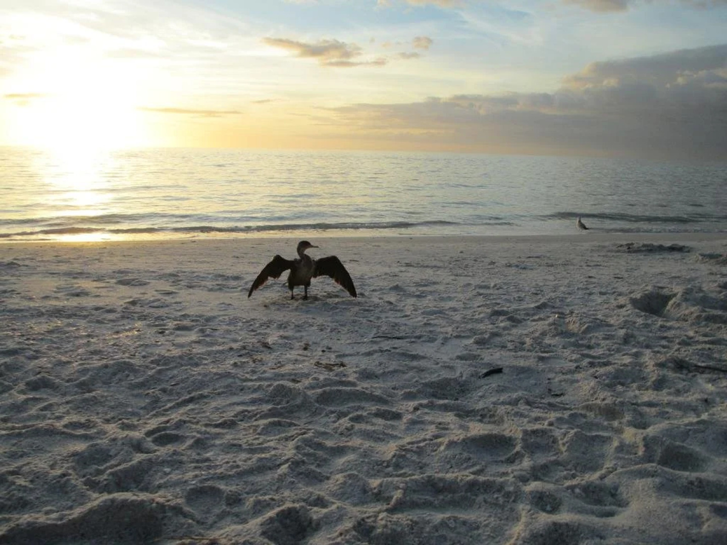 Bonita Springs Townhouse