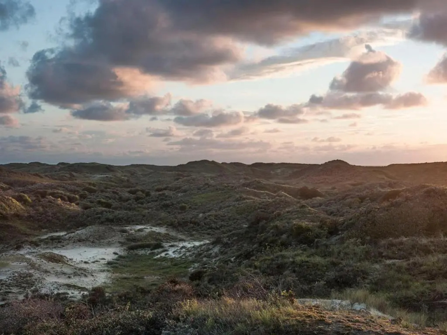 Private top floor, 150 m from the beach!