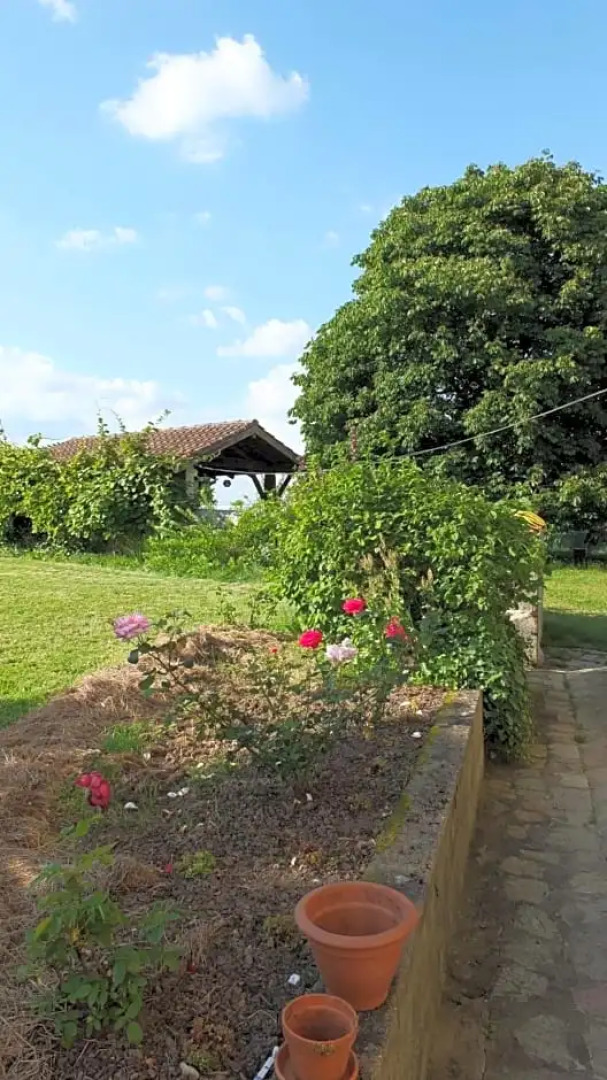 A lOmbre Du Marronnier