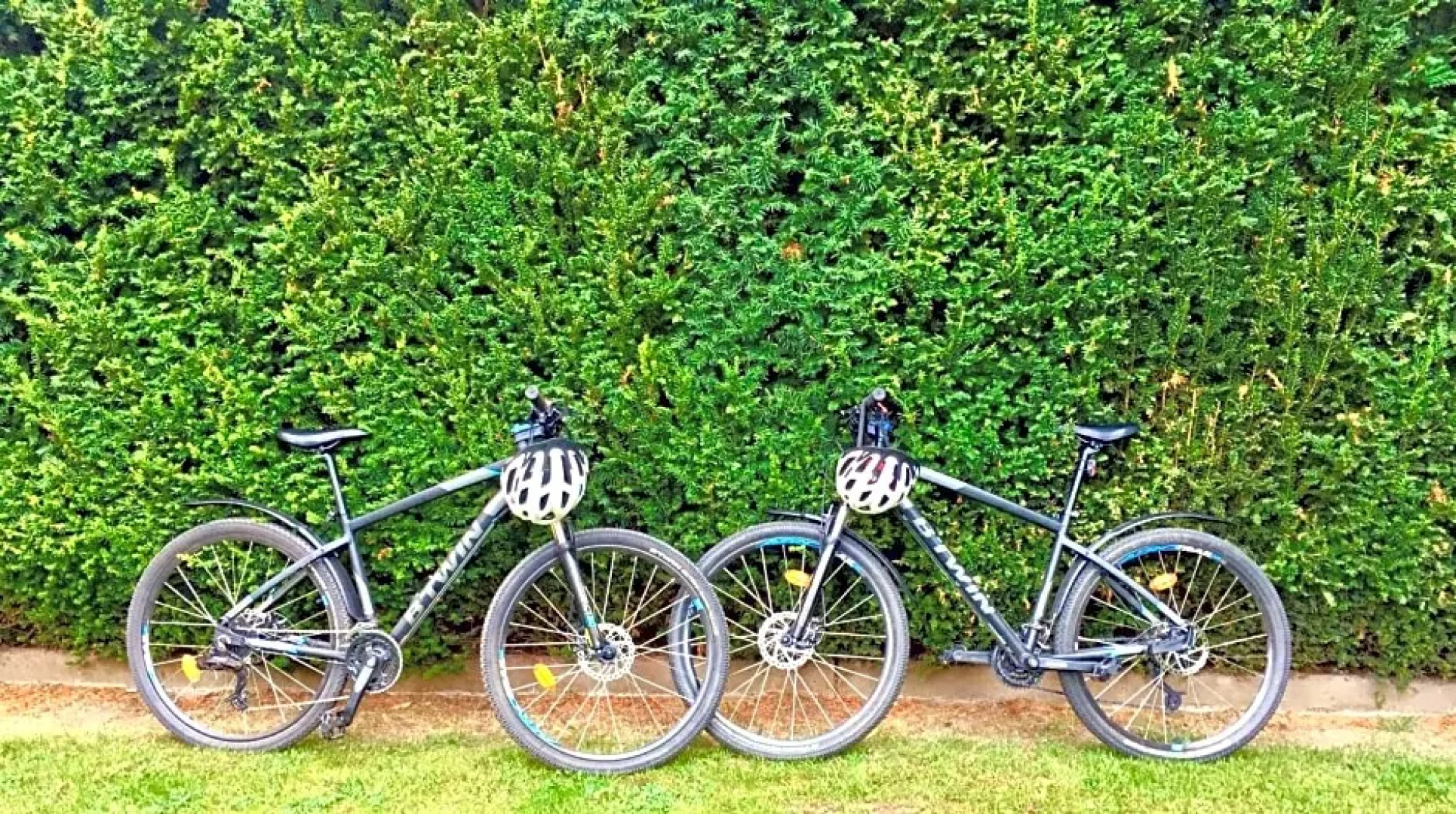 Chambre d'hôtes Du côté des remparts