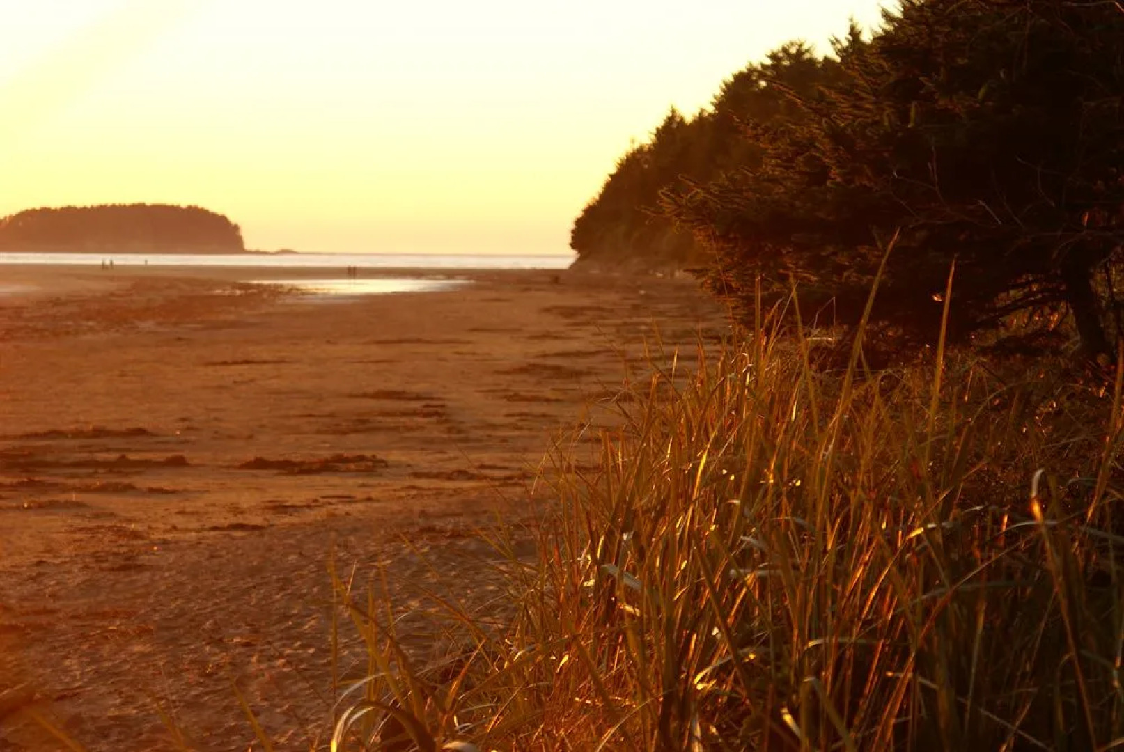 BriMar Bed and Breakfast