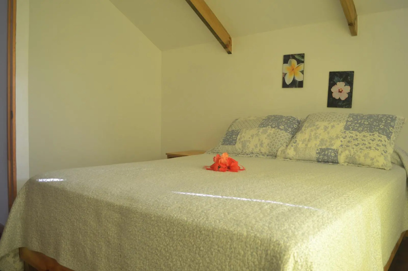 Cabaña Manuto Tahai