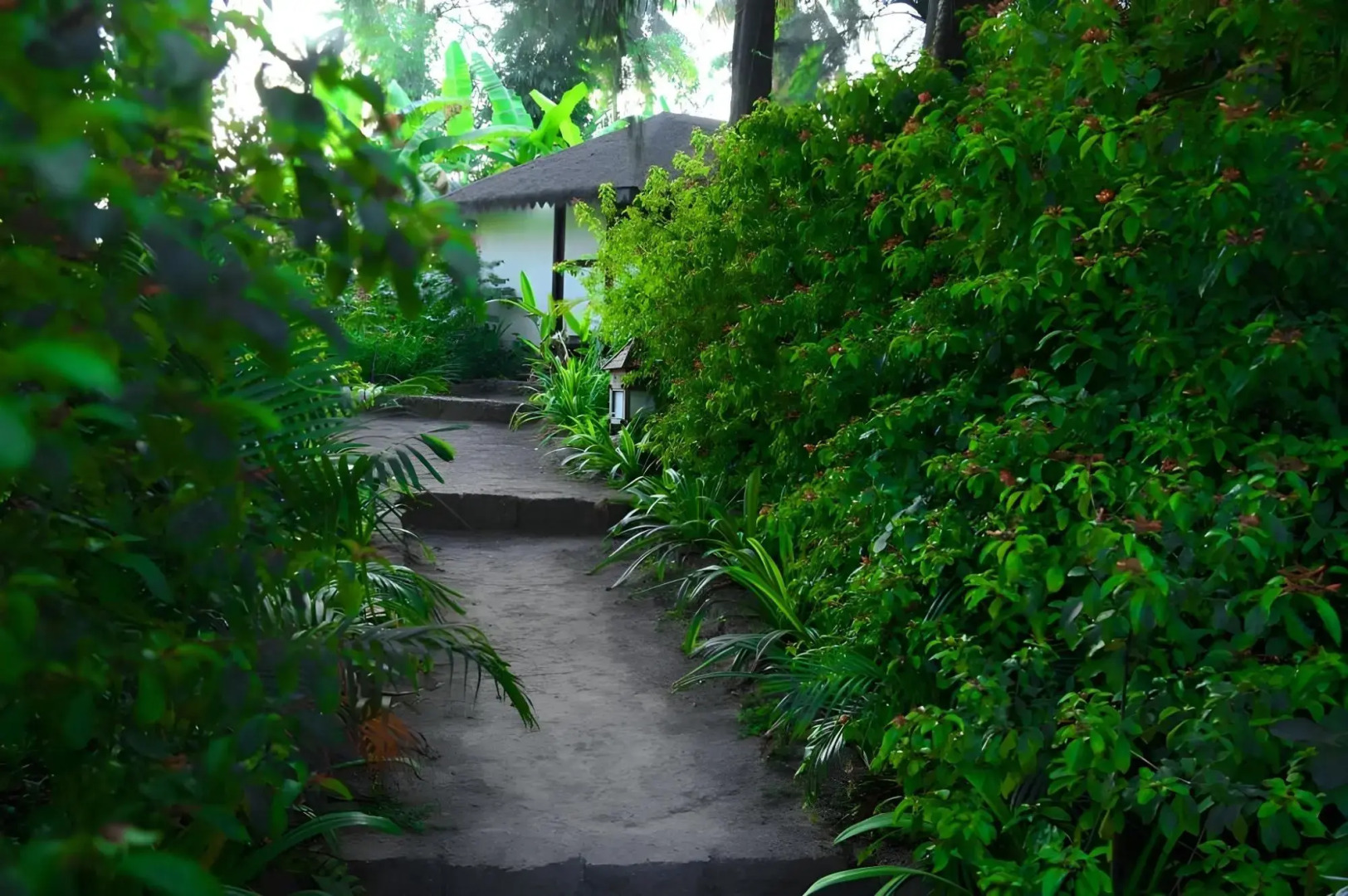 Exotica - The Beach Resort