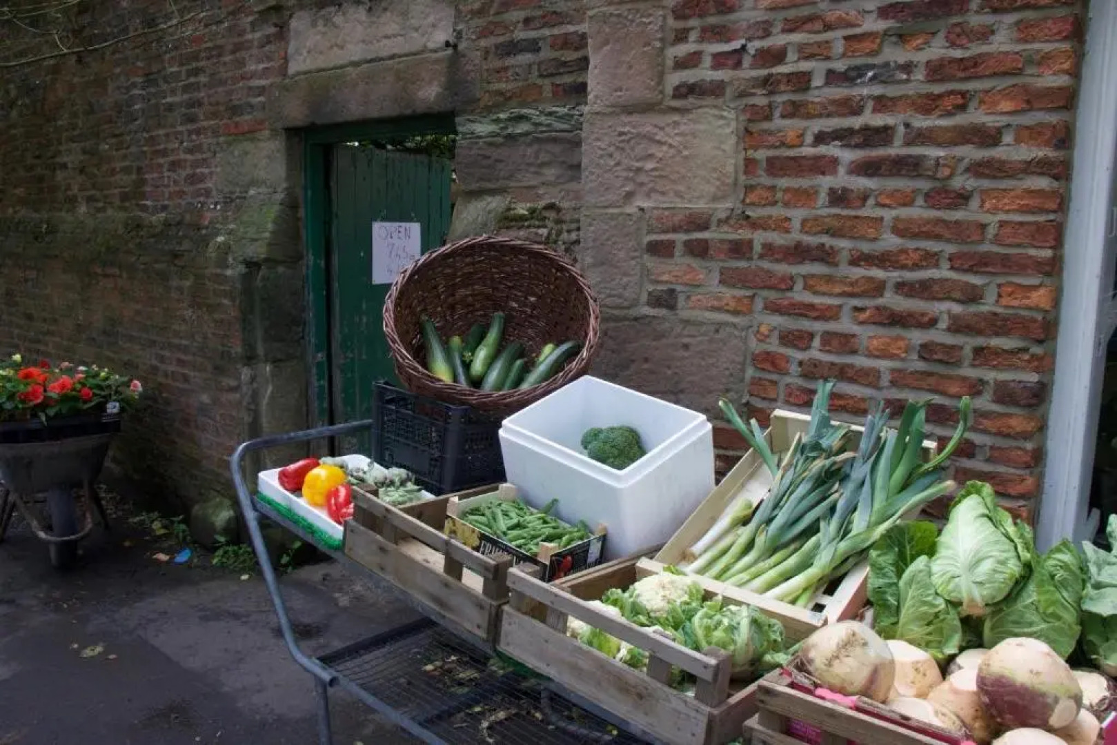 Pintail Apartment Bamburgh