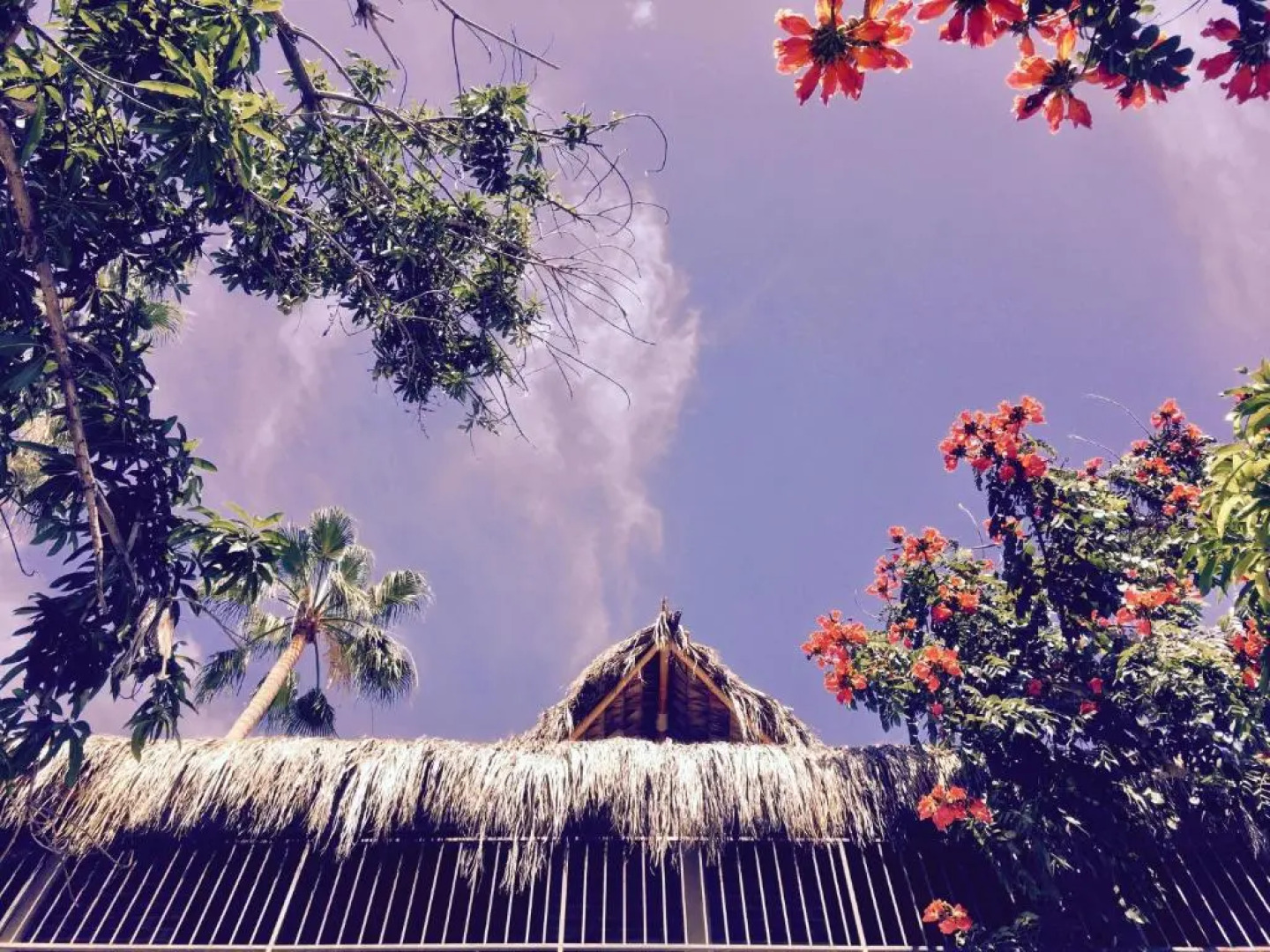 Hotel Posada Señor Mañana