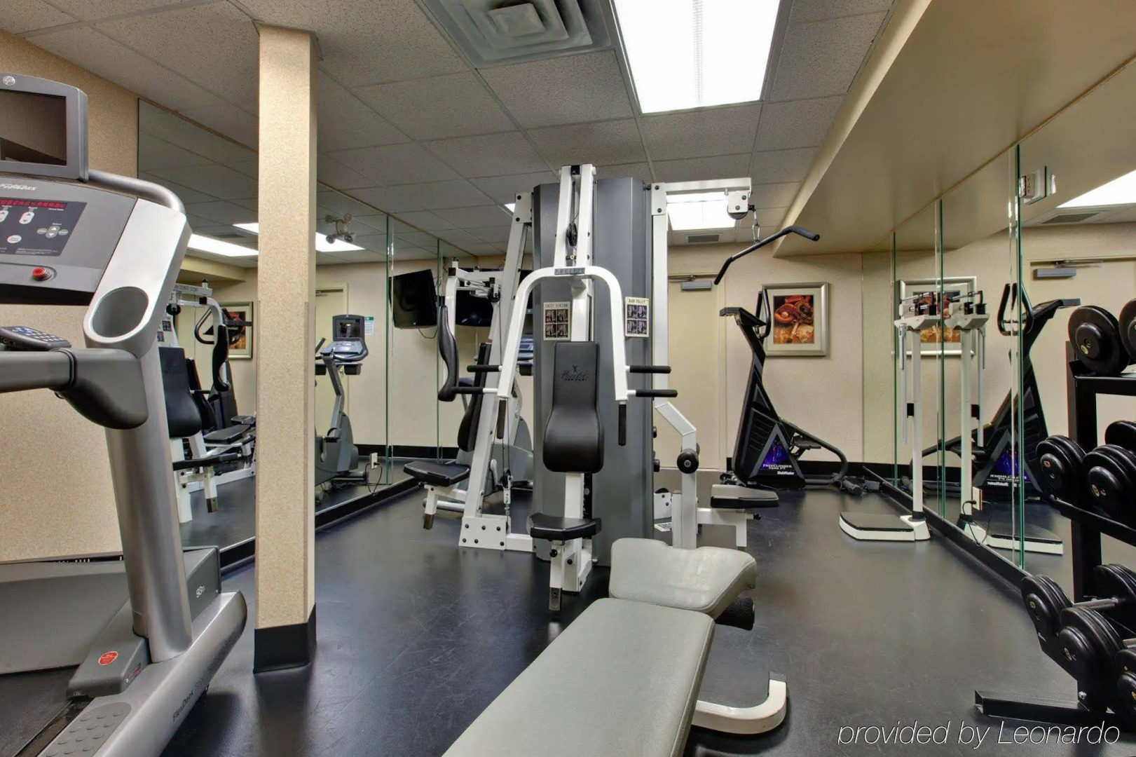 Everwild Canmore Hotel