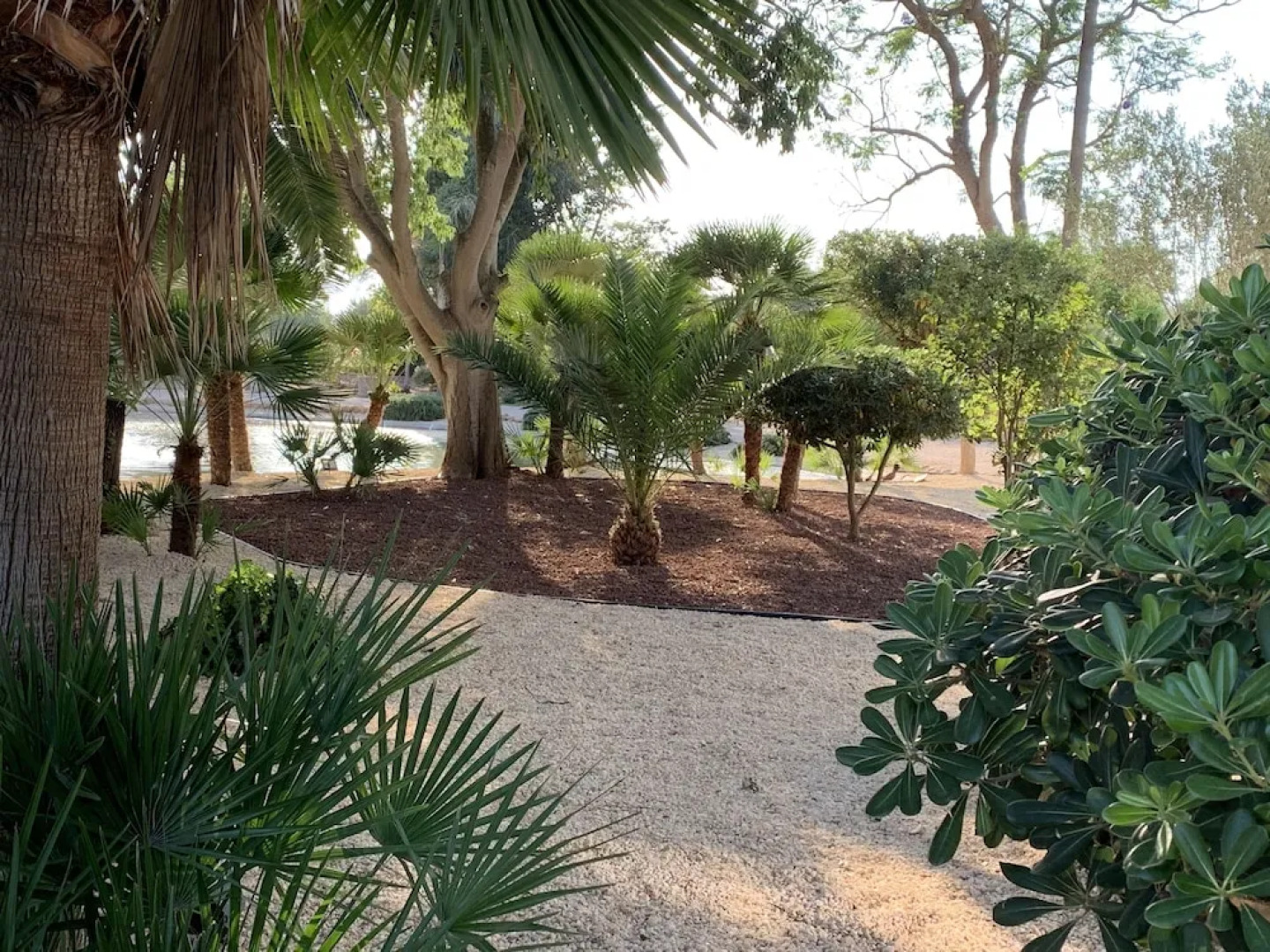 Casa des Regant - Son Nebot