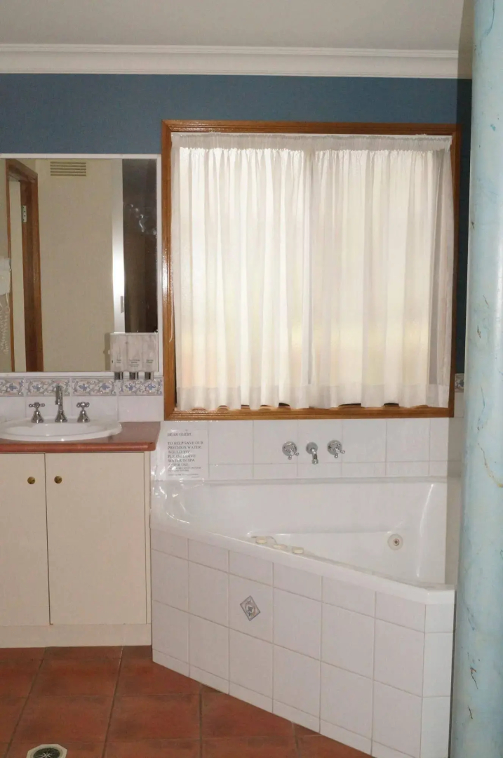 Asters on James Motor Inn