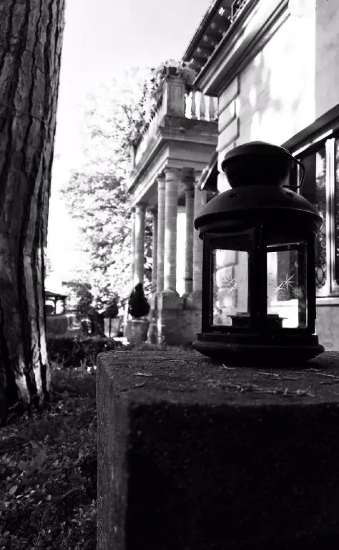 Villa delle Rose - Hotel Paradiso