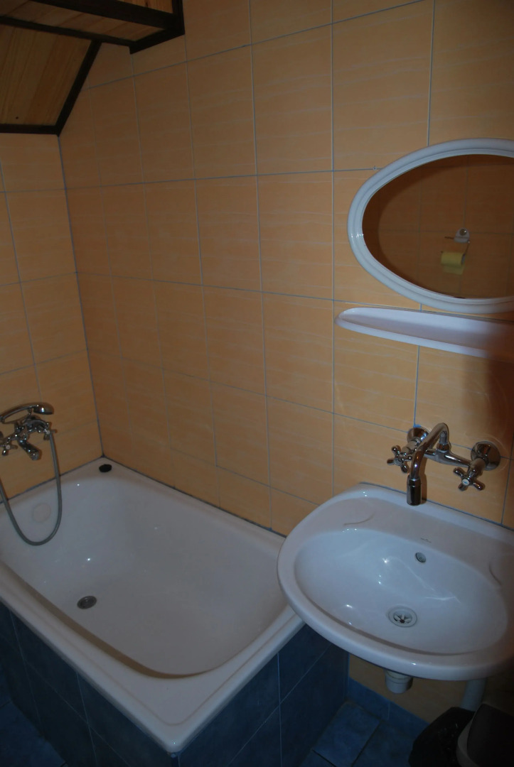 Palac w Czyzowie szlacheckim