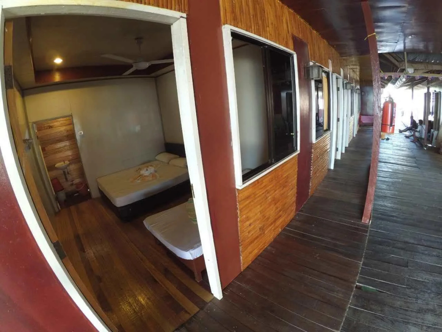 Seahorse Sipadan Scuba