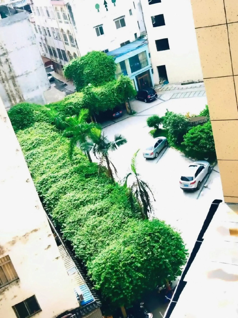 Jinyunge Hotel Pingnan