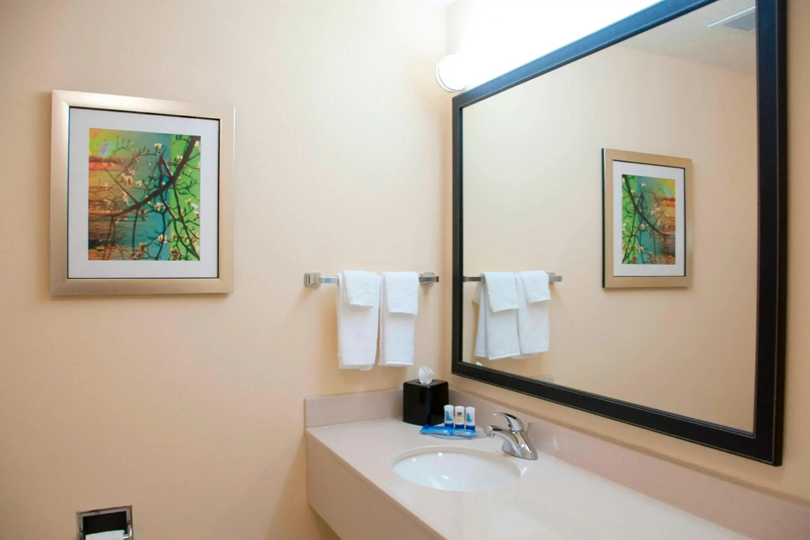 Fairfield Inn & Suites by Marriott Ames