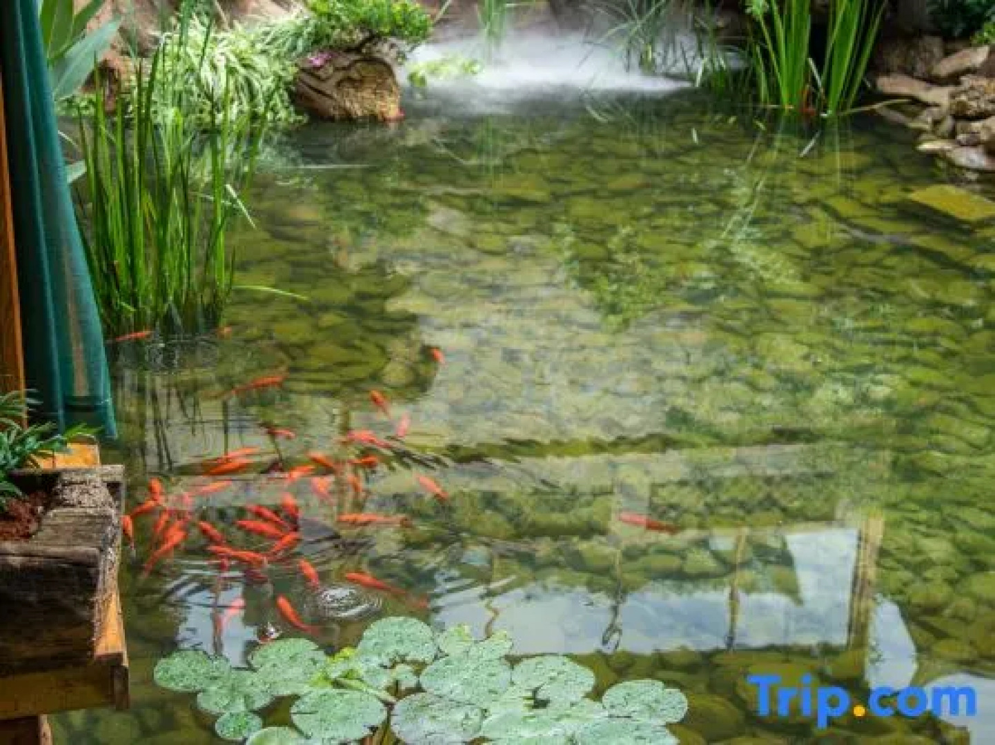 Puzhehei Yidu Homestay (Hehua Daguan Garden)