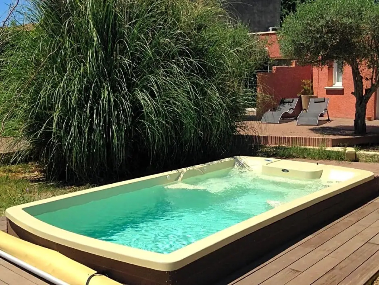 De la suite dans les oliviers