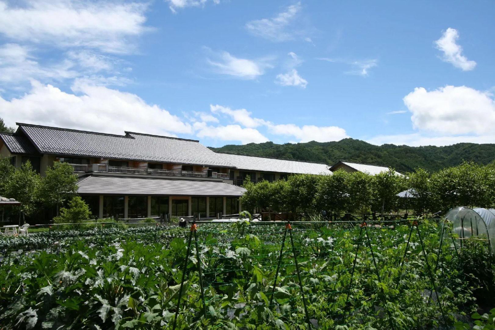 Tsutaya Tokinoyado Kazari