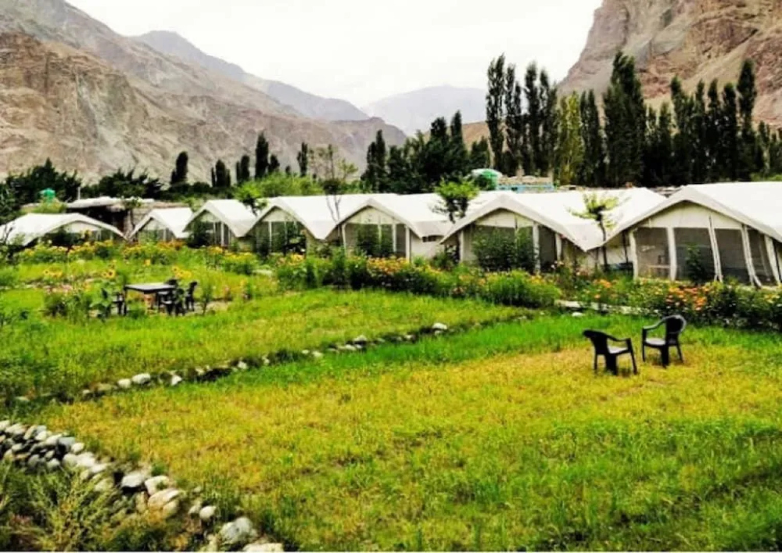 TIH Buckwheat Root Camp - Turtuk