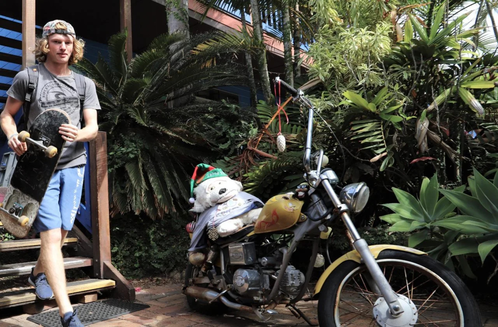 Cool Bananas Backpackers