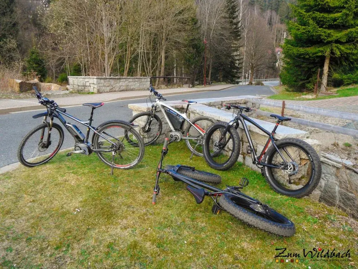 Zum Wildbach Schierke