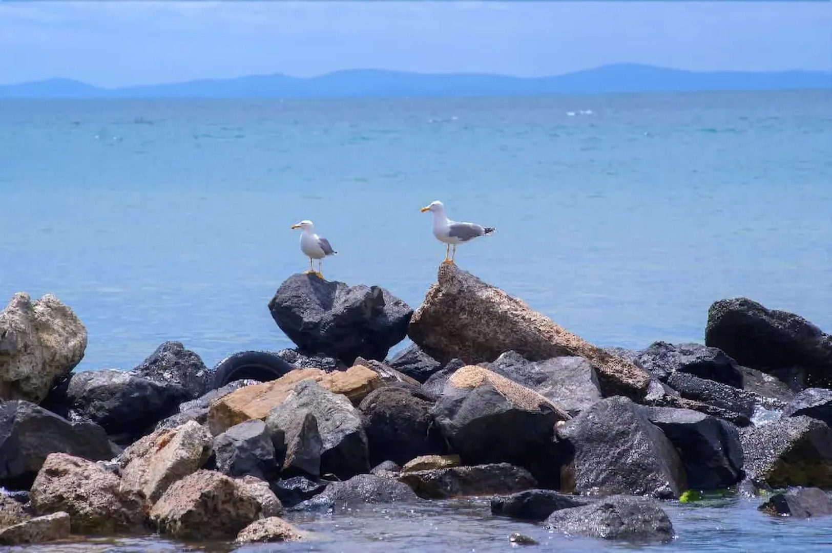 Robinson Vip Apartments