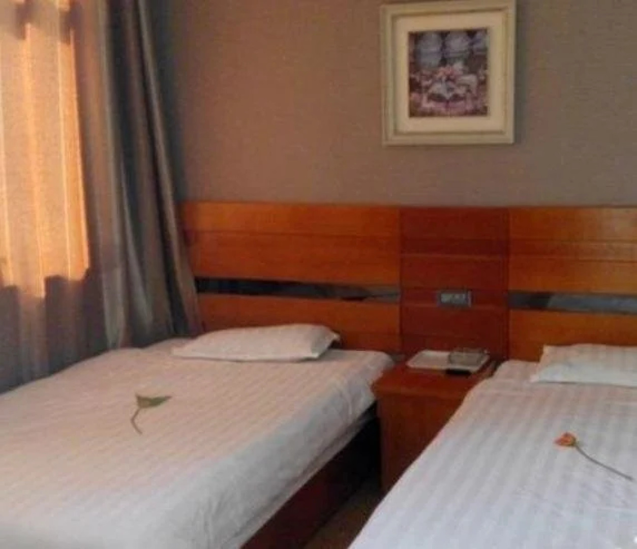 Wudangshan Tanluzhe Youth Hostel