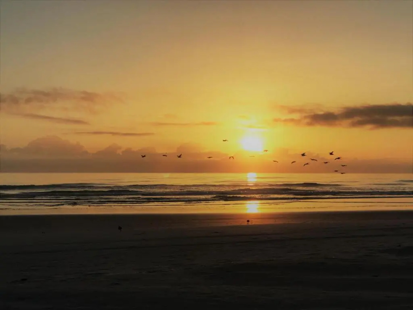 Bob's Beachin Dream - 5040S