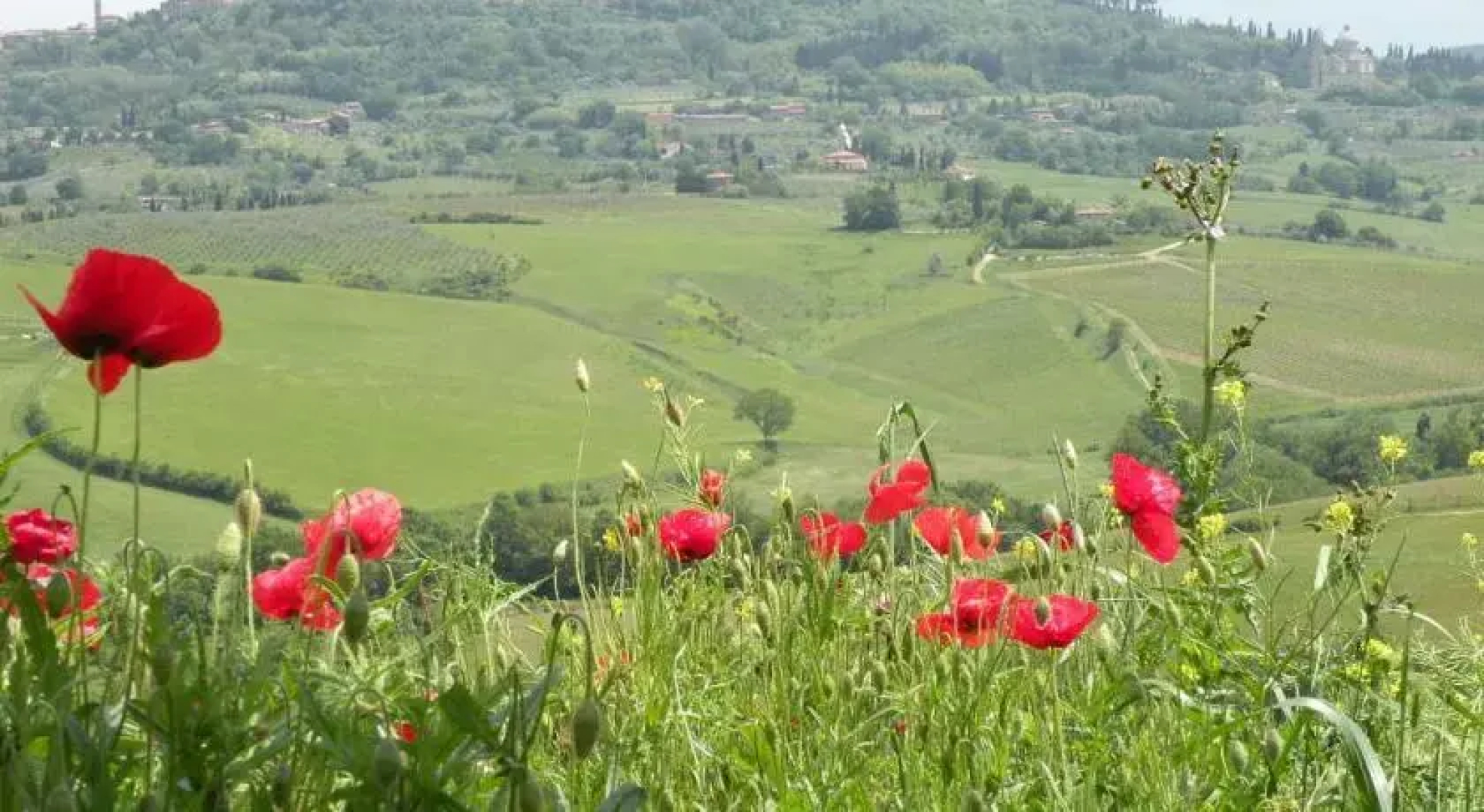 Agriturismo La Fraternita