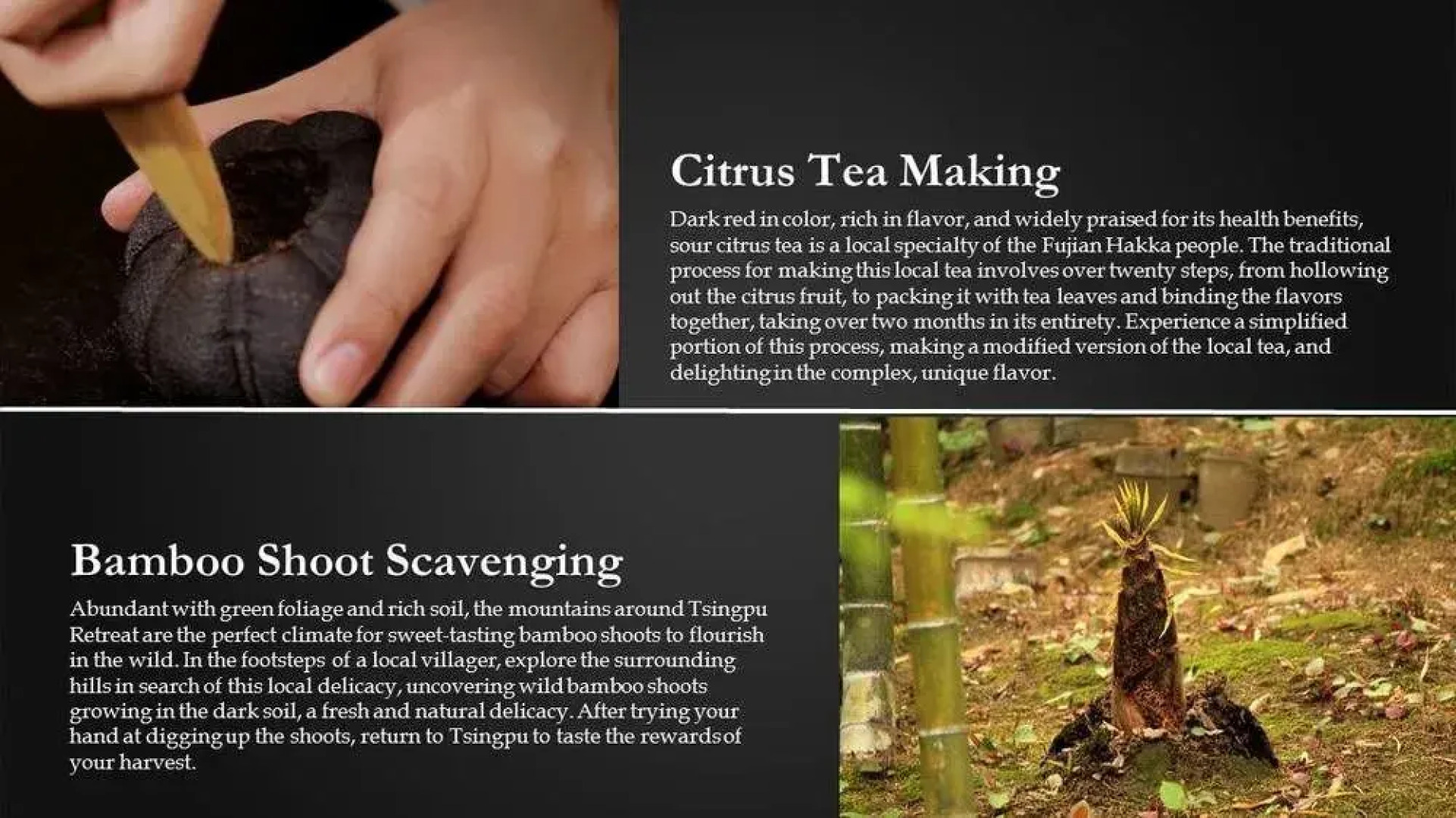 Tsingpu Fujian Tulou Retreat