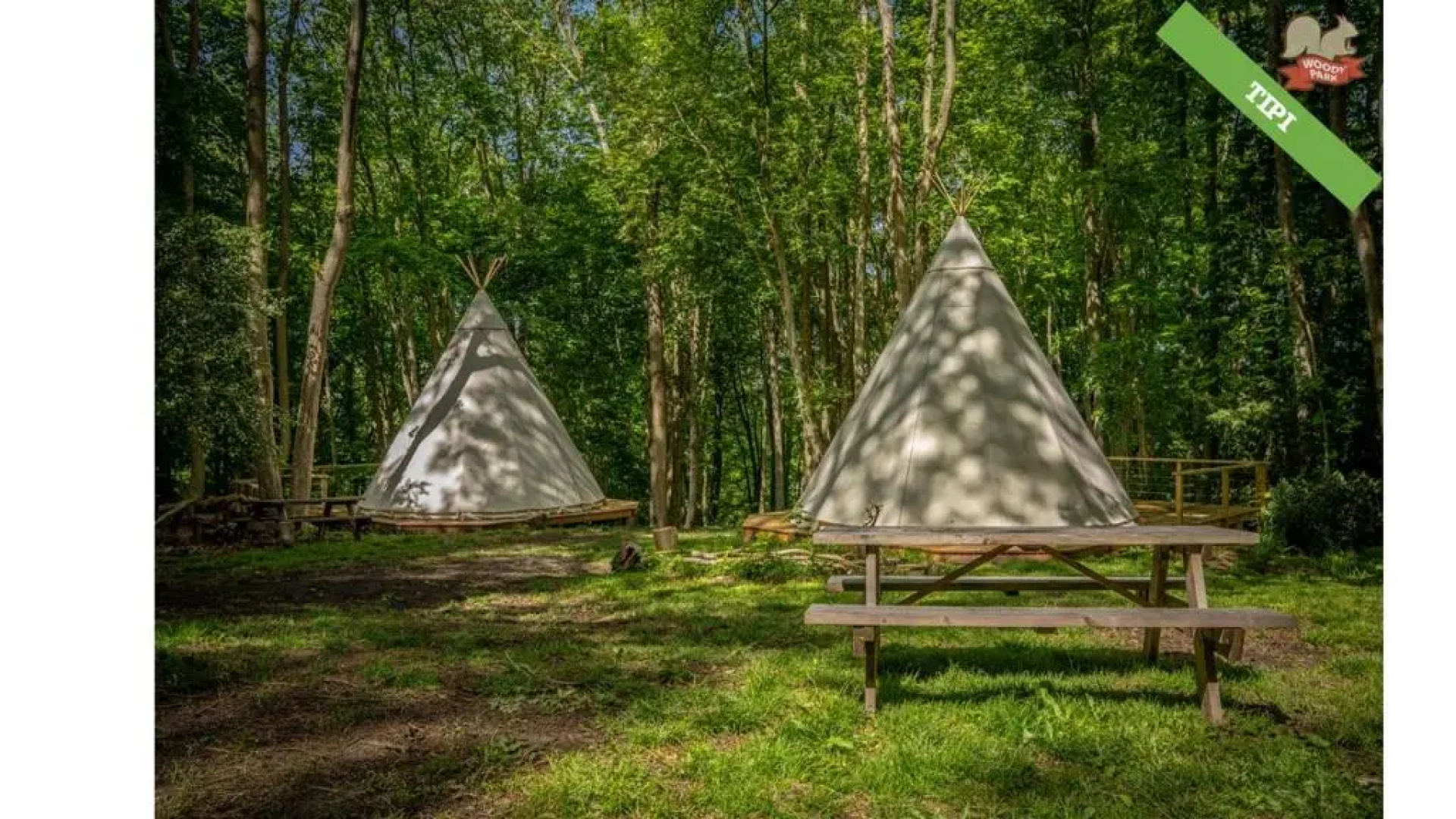 Woody Park