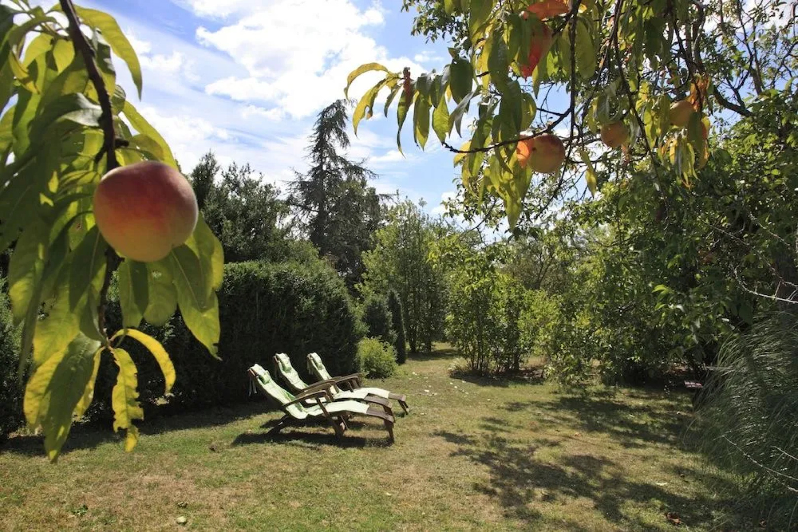 South Tarn Gites - Deluxe and Tranquil near Lautrec Village