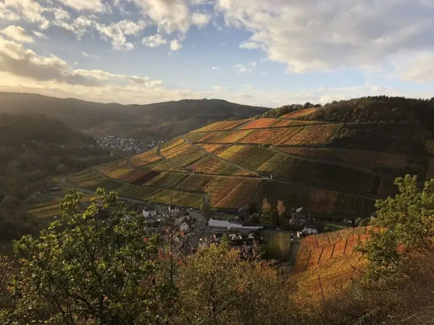 Holiday Apartment Oasis